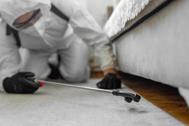 Professional Cockroach Control technician working in Thorndale, TX