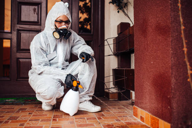Reliable Cockroach Control contractor in Thorndale, TX by Nex Pest Control